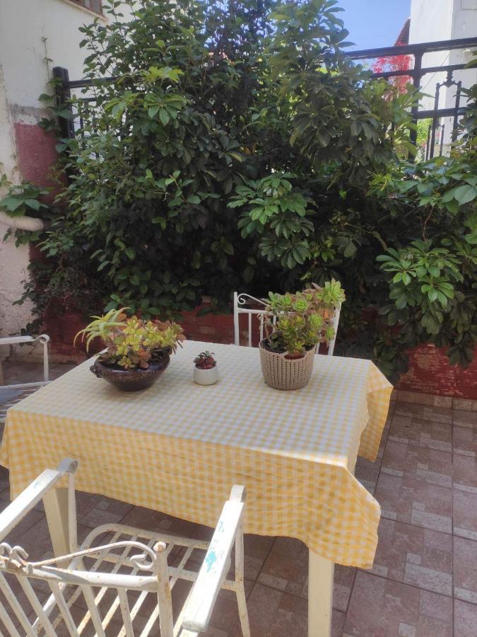 Samos - Kokkari - Eirini'S Studios Экстерьер фото